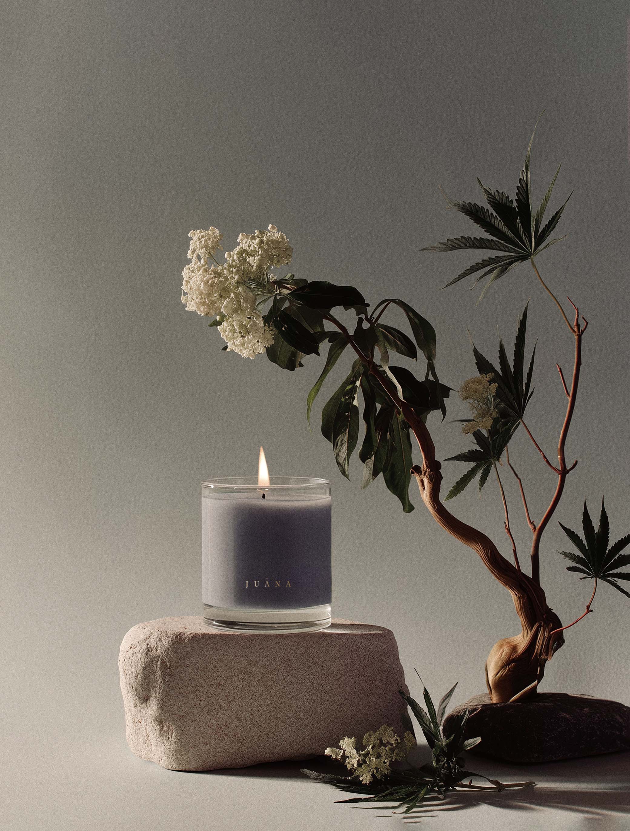 Sandalwood + Hashish | Sleep Candle - Image 3